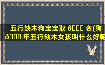 五行缺木狗宝宝取 💐 名(狗 🐈 年五行缺木女孩叫什么好呢)